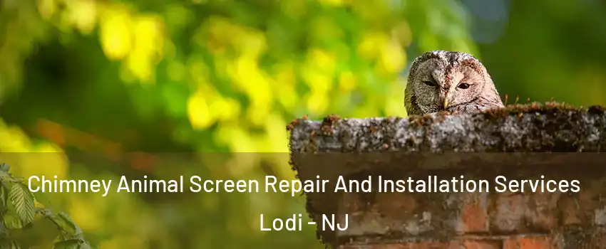  Chimney Animal Screen Repair And Installation Services Lodi - NJ