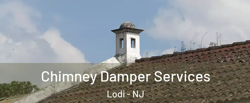  Chimney Damper Services Lodi - NJ