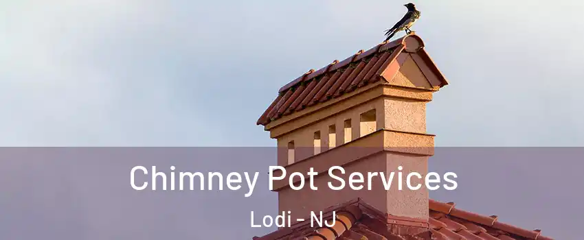  Chimney Pot Services Lodi - NJ