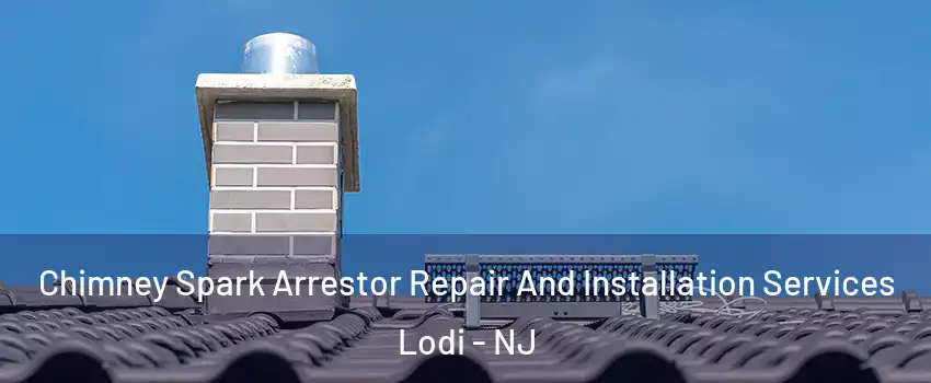  Chimney Spark Arrestor Repair And Installation Services Lodi - NJ