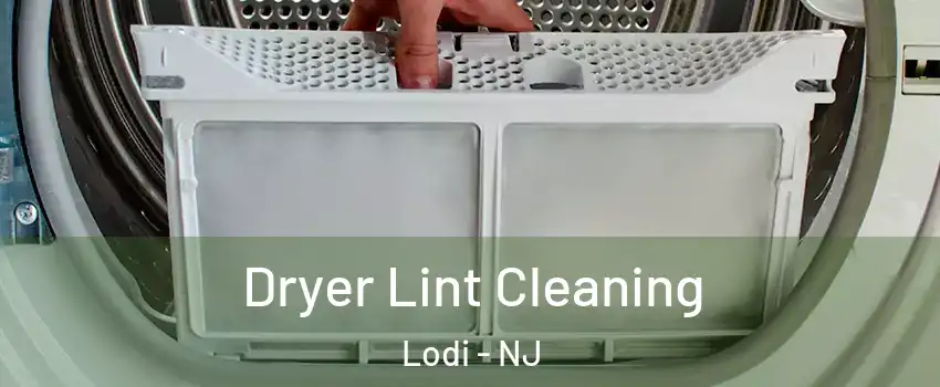  Dryer Lint Cleaning Lodi - NJ