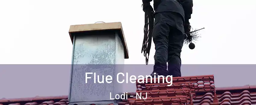  Flue Cleaning Lodi - NJ