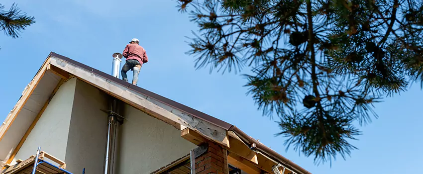 Birds Removal Contractors from Chimney in Lodi, NJ